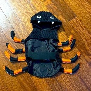 Spider Halloween Costume for dog (XS)
